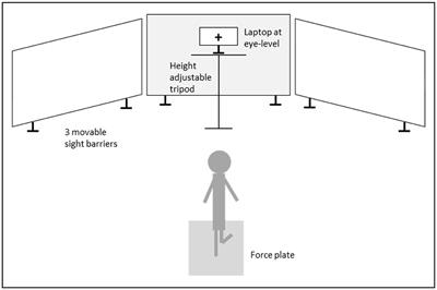 No role of working memory in the relation between mental rotation and postural stability